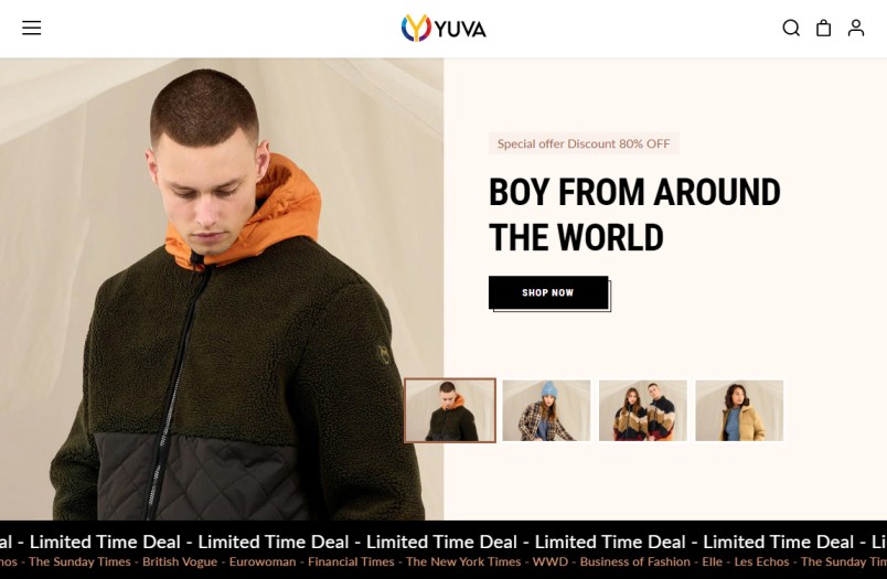 Top Shopify Theme Development Company